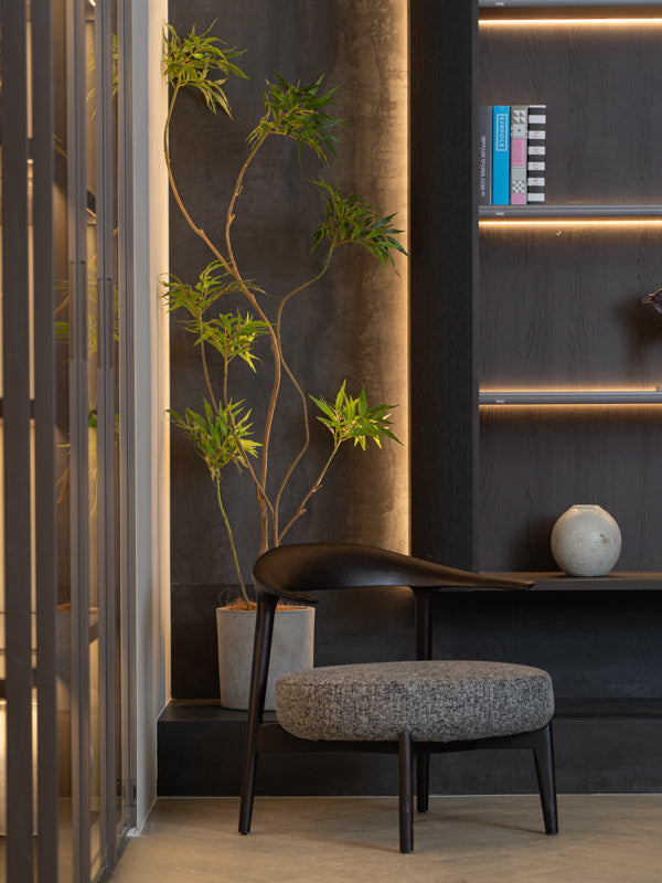 Living Room Ideas