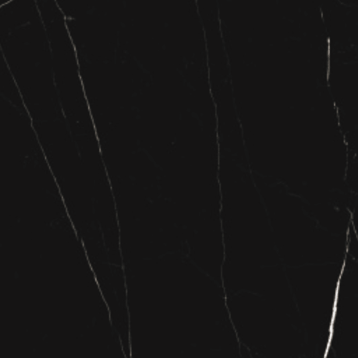 Black Marquina Poliosh 600x1200x6mm - Fantaci | Porcelain Tiles & slabs Melbourne  Black Marquina Poliosh 600x1200x6mm - Fantaci | Porcelain Tiles & slabs Melbourne