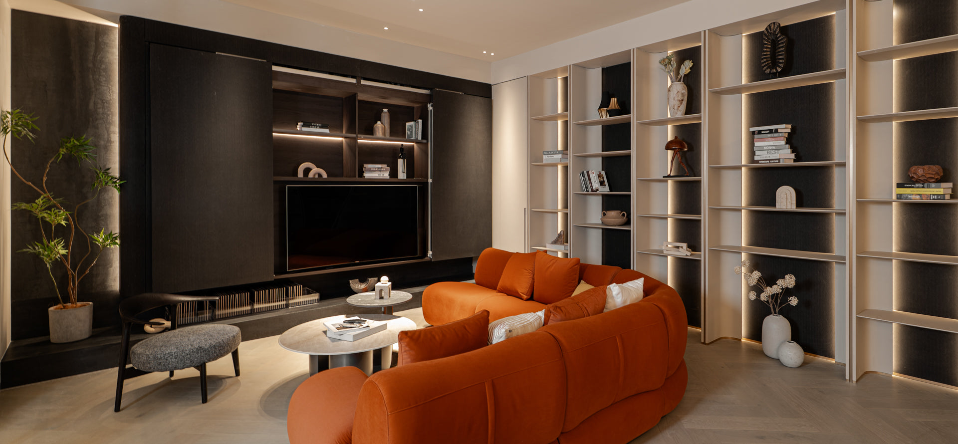 Living Room Cabinets