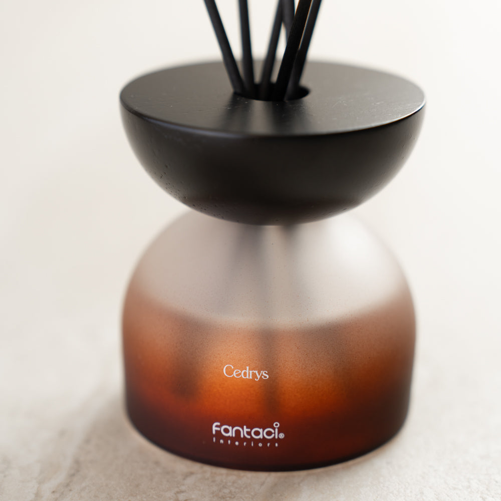 Cedrys Reed Diffuser – 70ml | Bellflower, Jasmine & Musk