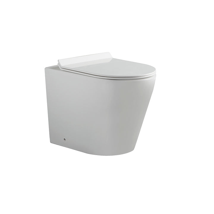 Sleek Floor-Mounted One-Piece Toilet - Fantaci interiors 