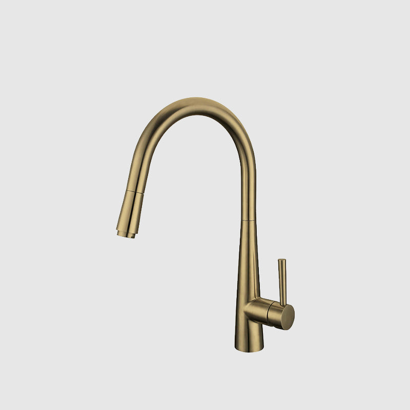 Brushed Brass Kitchen Faucet with Pull-Out Sprayer