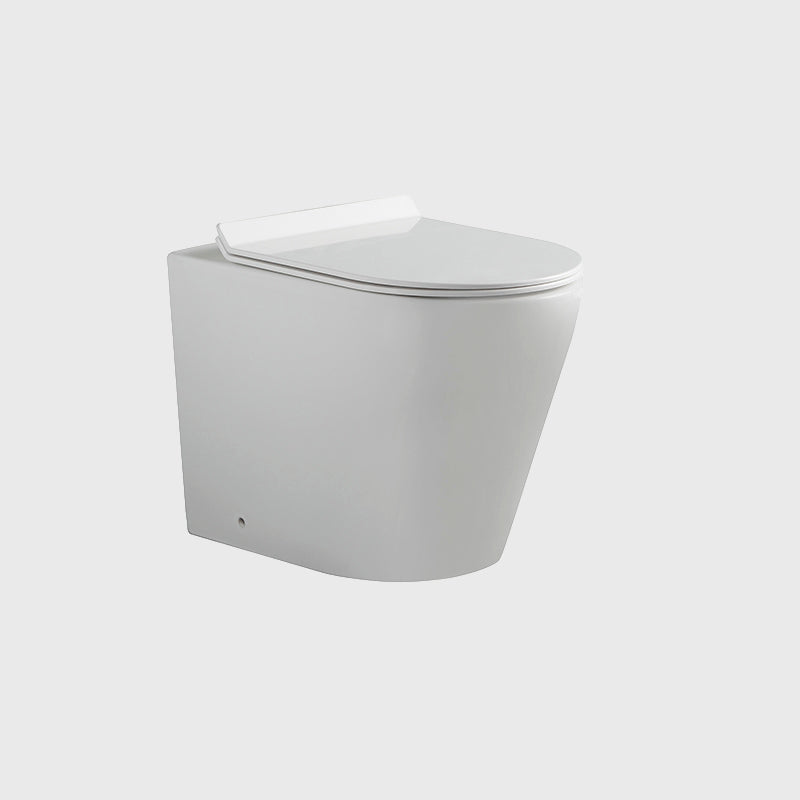 Sleek Floor-Mounted One-Piece Toilet