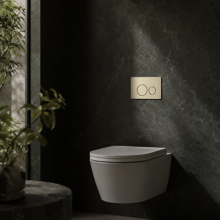 Flush Plate - Zr Brushed Gold