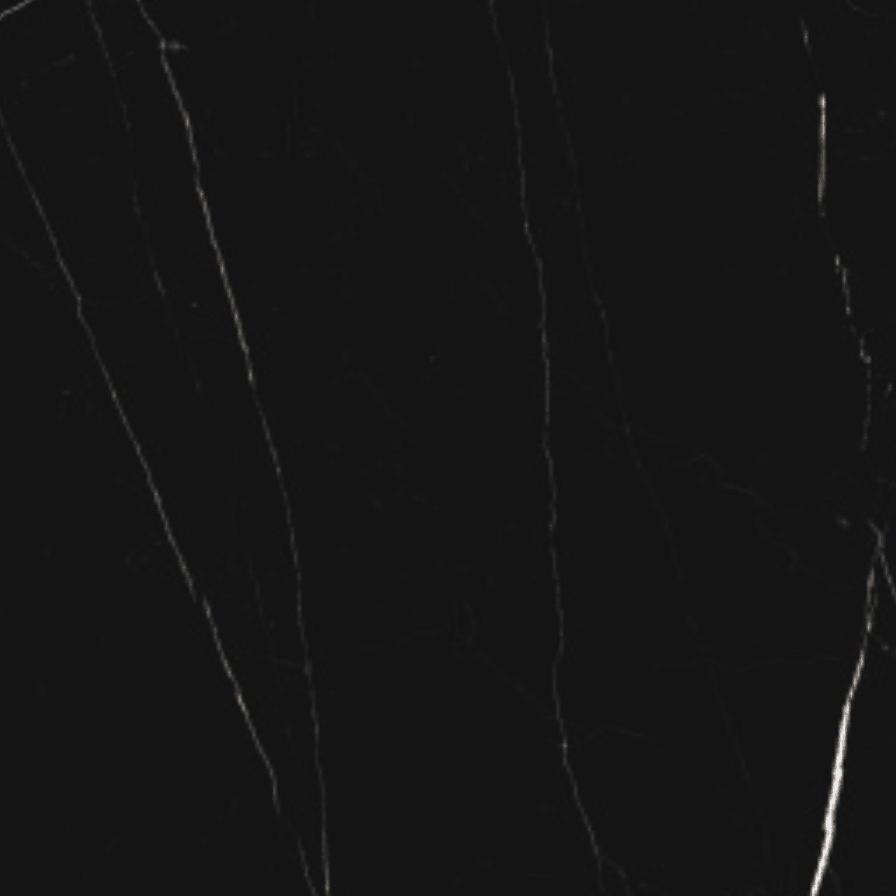 Black Marquina Poliosh 600x1200x6mm - Fantaci | Porcelain Tiles & slabs Melbourne 